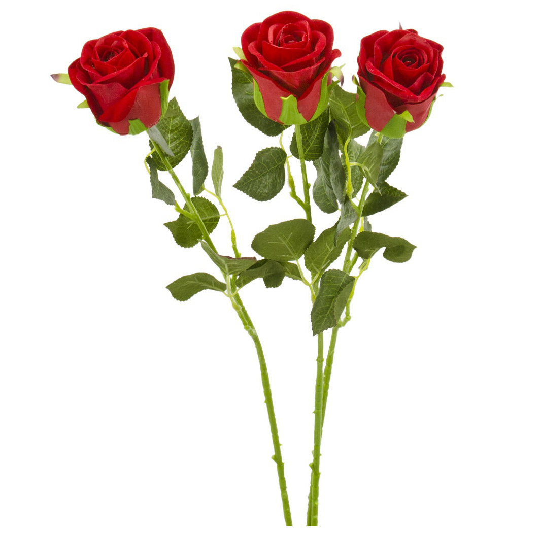 Маленький букет цветов роз. Небольшие букеты из роз. Букет из 3 роз. Букет из трех роз.